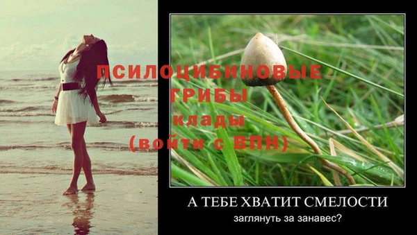 винт Хадыженск