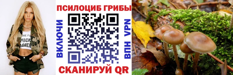 Псилоцибиновые грибы GOLDEN TEACHER  магазин продажи   Усть-Илимск 