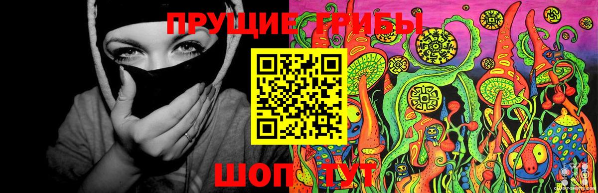 Усть-Илимск  Галлюциногенные грибы Psilocybine cubensis  Вход с VPN 