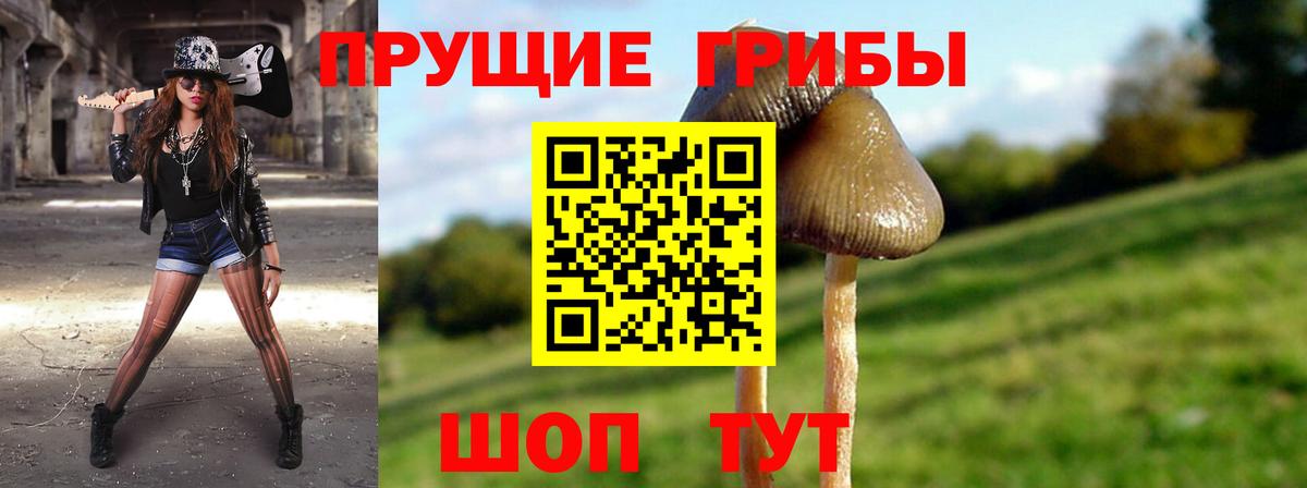 Галлюциногенные грибы мицелий Усть-Илимск